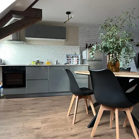 Le Grenier Chic - T3 Duplex - Parking Privatif Appartement *